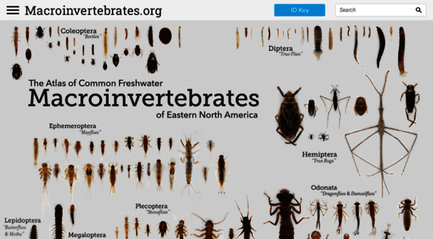 macroinvertebrates.org