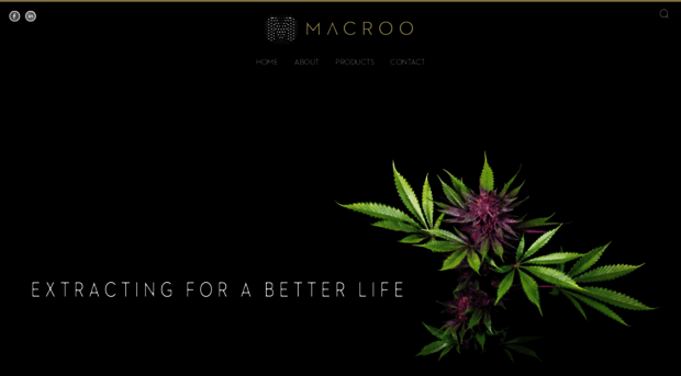 macroolabs.com