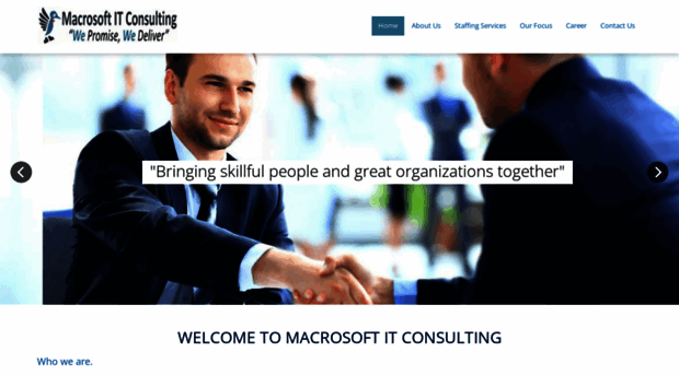 macrosoftitconsulting.com