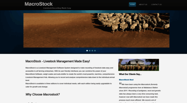 macrostock.com