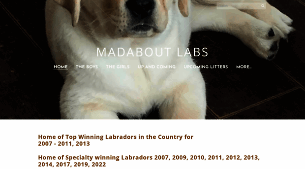 madaboutlabs.com