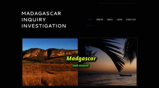 madagascarinquiryinvestigation.weebly.com