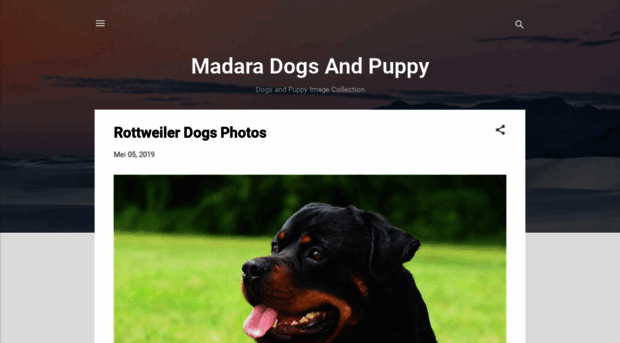 madaradog.blogspot.com