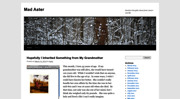 madaster.wordpress.com