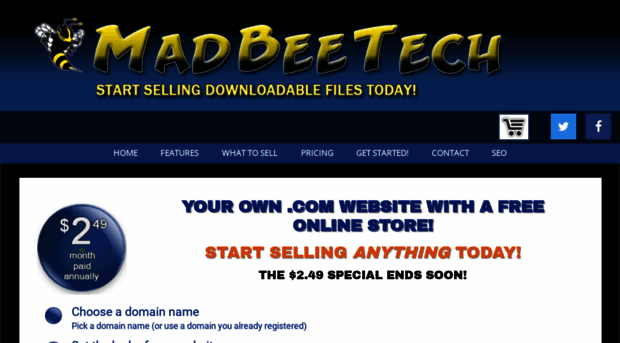 madbeetech.com