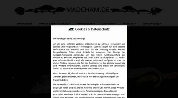madcham.de