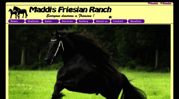 maddisfriesianranch.com