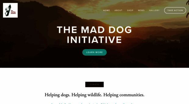 maddoginitiative.com