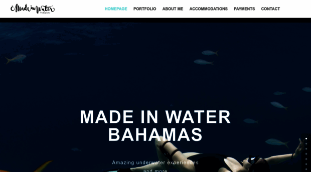 madeinwaterexcursions.com