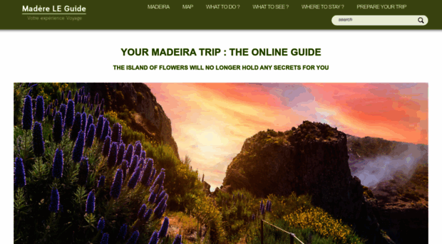 madeira-travel.madere-leguide.com