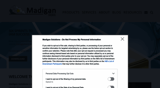 madigansolutions.com