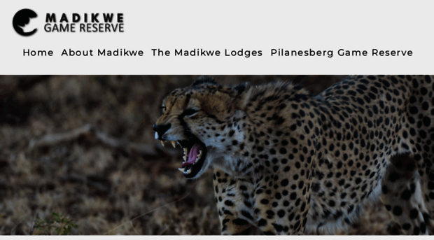 madikwe-game-reserve.co.za