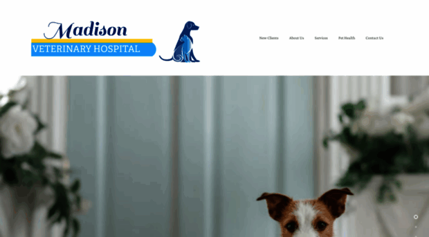 madisonvetpc.com