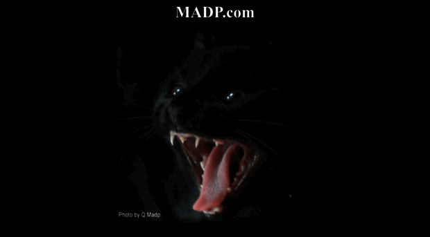 madp.com