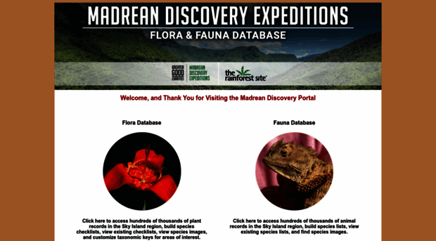 madreandiscovery.org