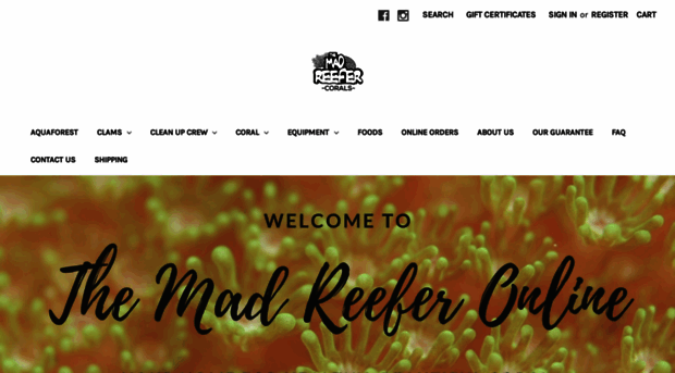 madreefercorals.com