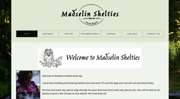 madselin.com