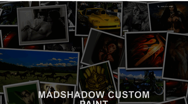 madshadowcustompaint.com