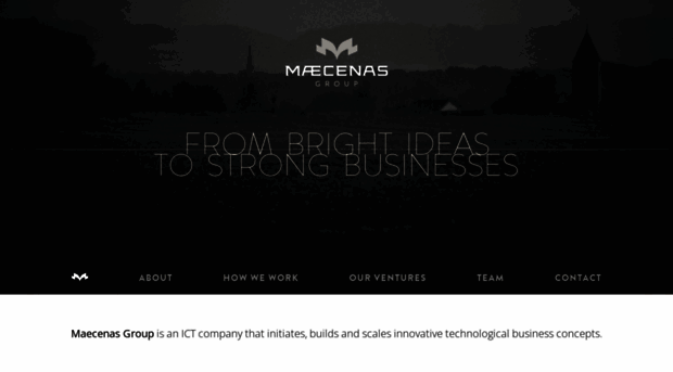 maecenasgroup.com