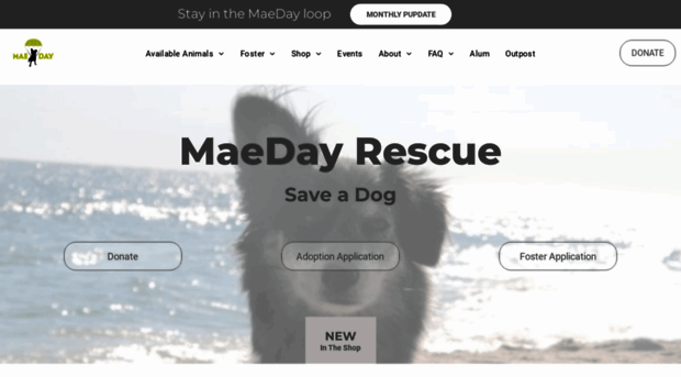 maedayrescue.com