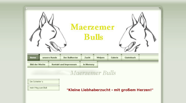 maerzemer-bulls.de