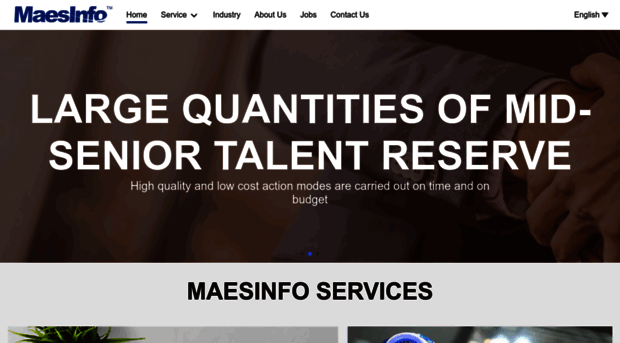 maesinfo.com
