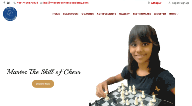 maestrochessacademy.com