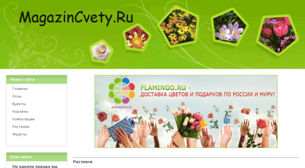 magazincvety.ru