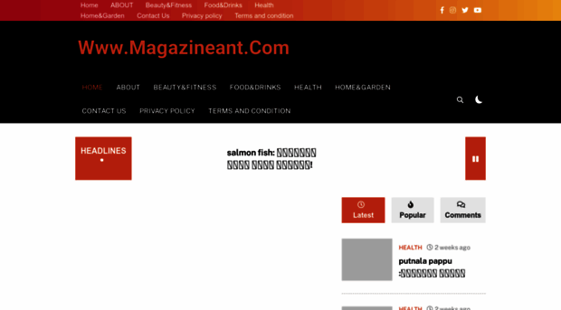 magazineant.com