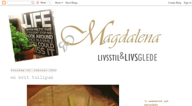 magdalenany.blogspot.com