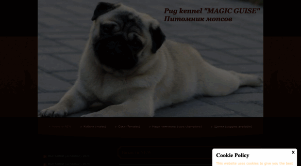 magic-touch.jimdo.com