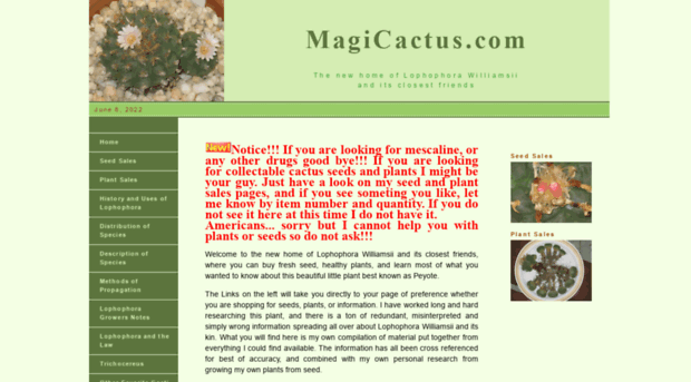 magicactus.com