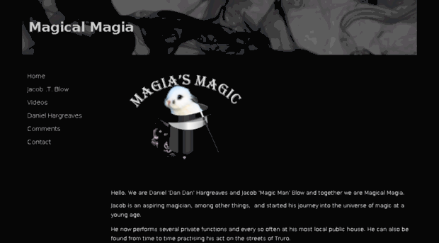 magicalmagia.com
