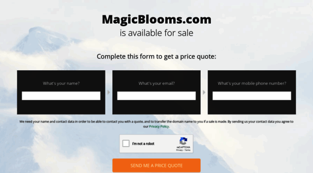 magicblooms.com