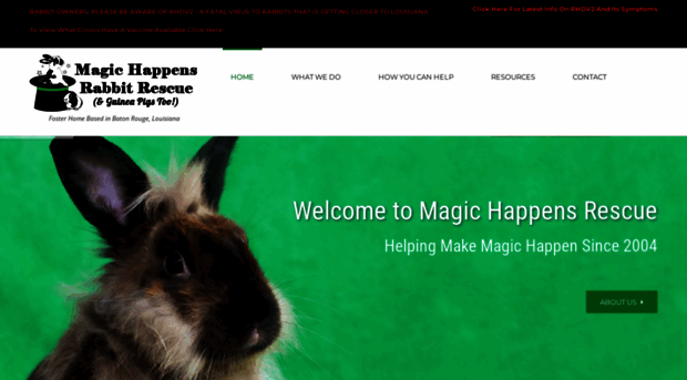 magichappensrescue.com