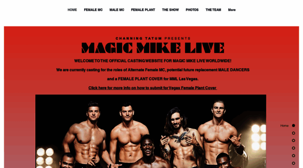 magicmikecasting.com