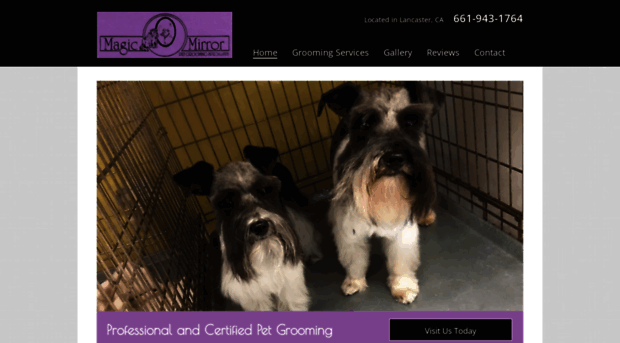 magicmirrorpetsalon.com