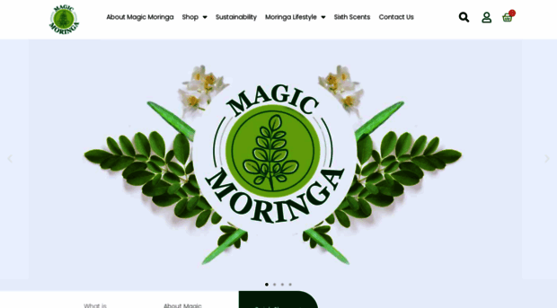 magicmoringa.in