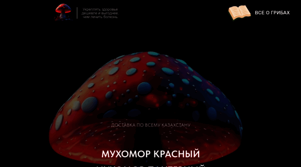 magicmushrooms.kz