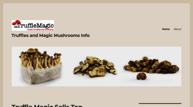 magicmushroomsblog.wordpress.com