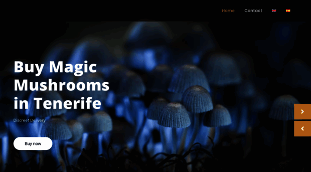 magicmushroomstenerife.com