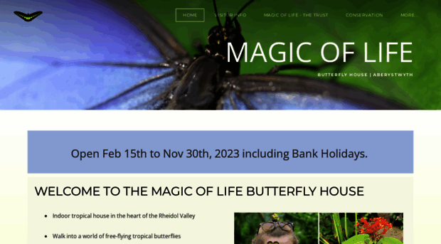 magicoflife.org