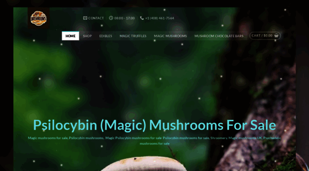 magicpsilocybinmushrooms.com