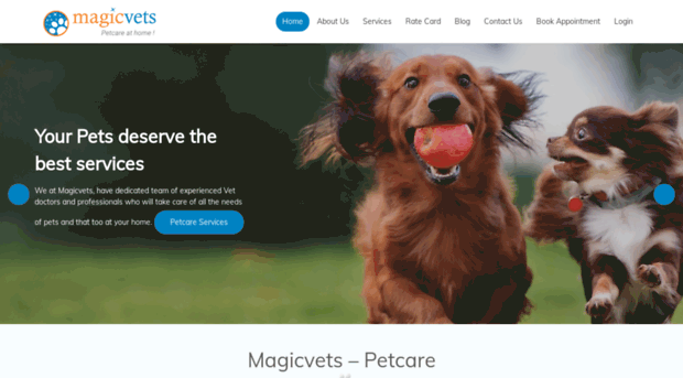 magicvets.com