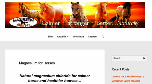 magnesium4horses.com.au