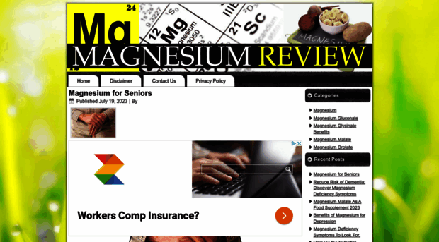 magnesiumreview.com