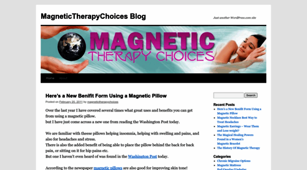 magnetictherapychoices.wordpress.com