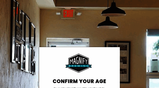 magnifybrewing.com