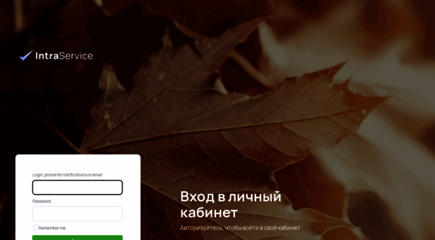 magnit.intraservice.ru