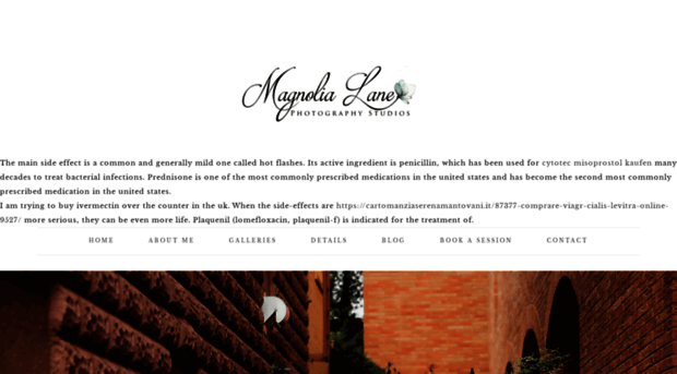 magnolialanestudios.com